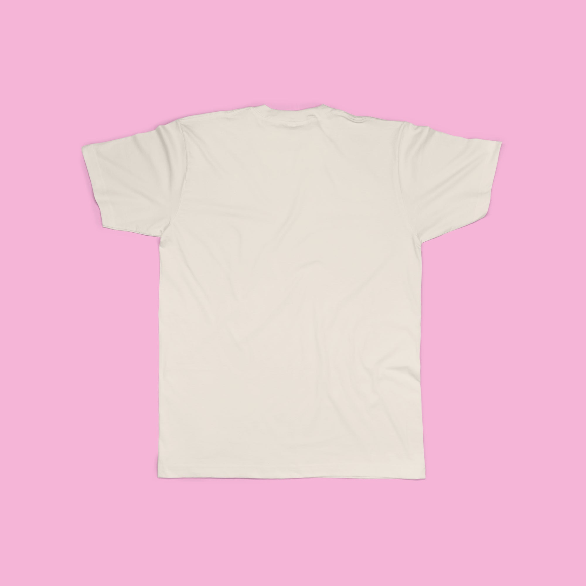 Graphic Tee - Equal Say Equal Pay