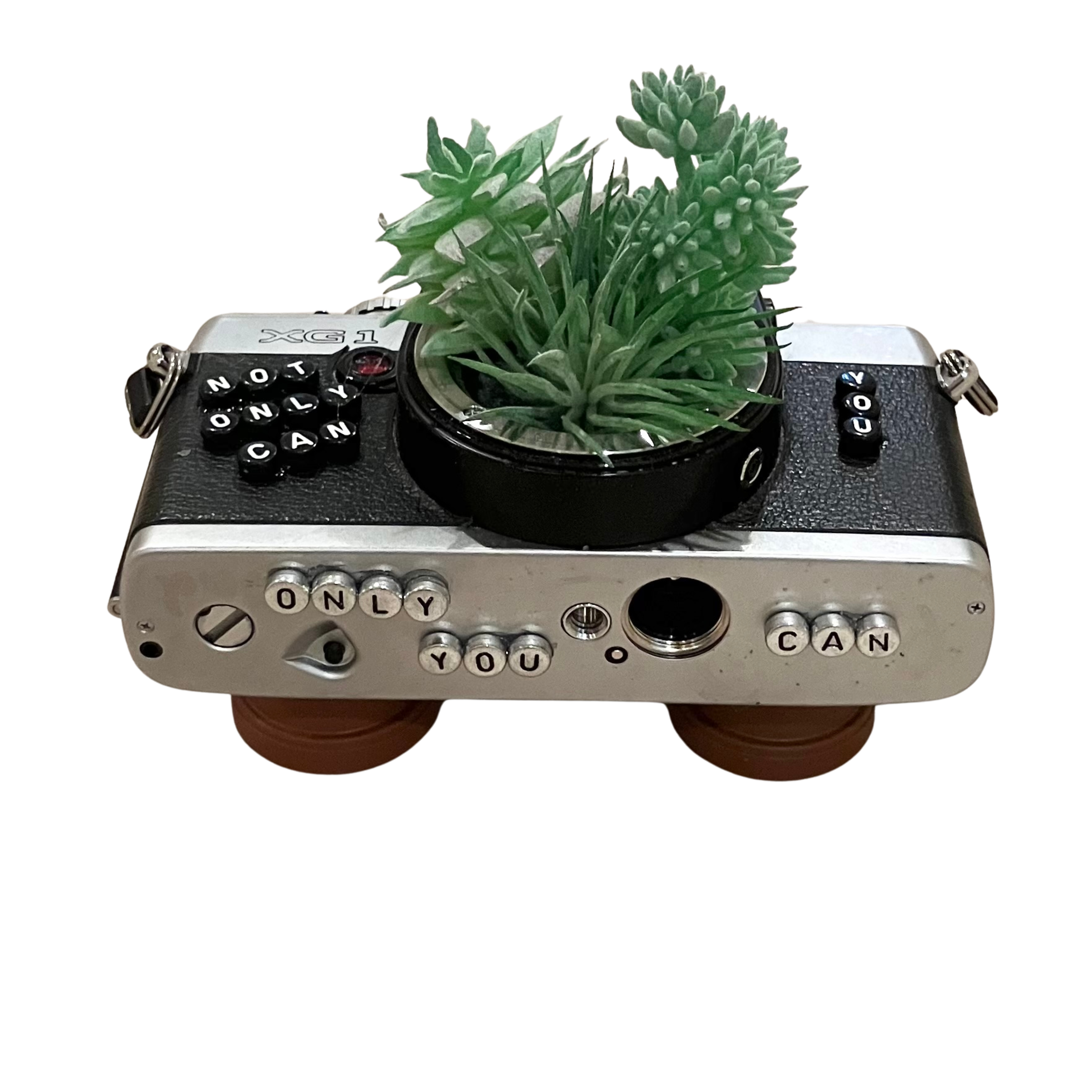 Art - Planters Camera Collection