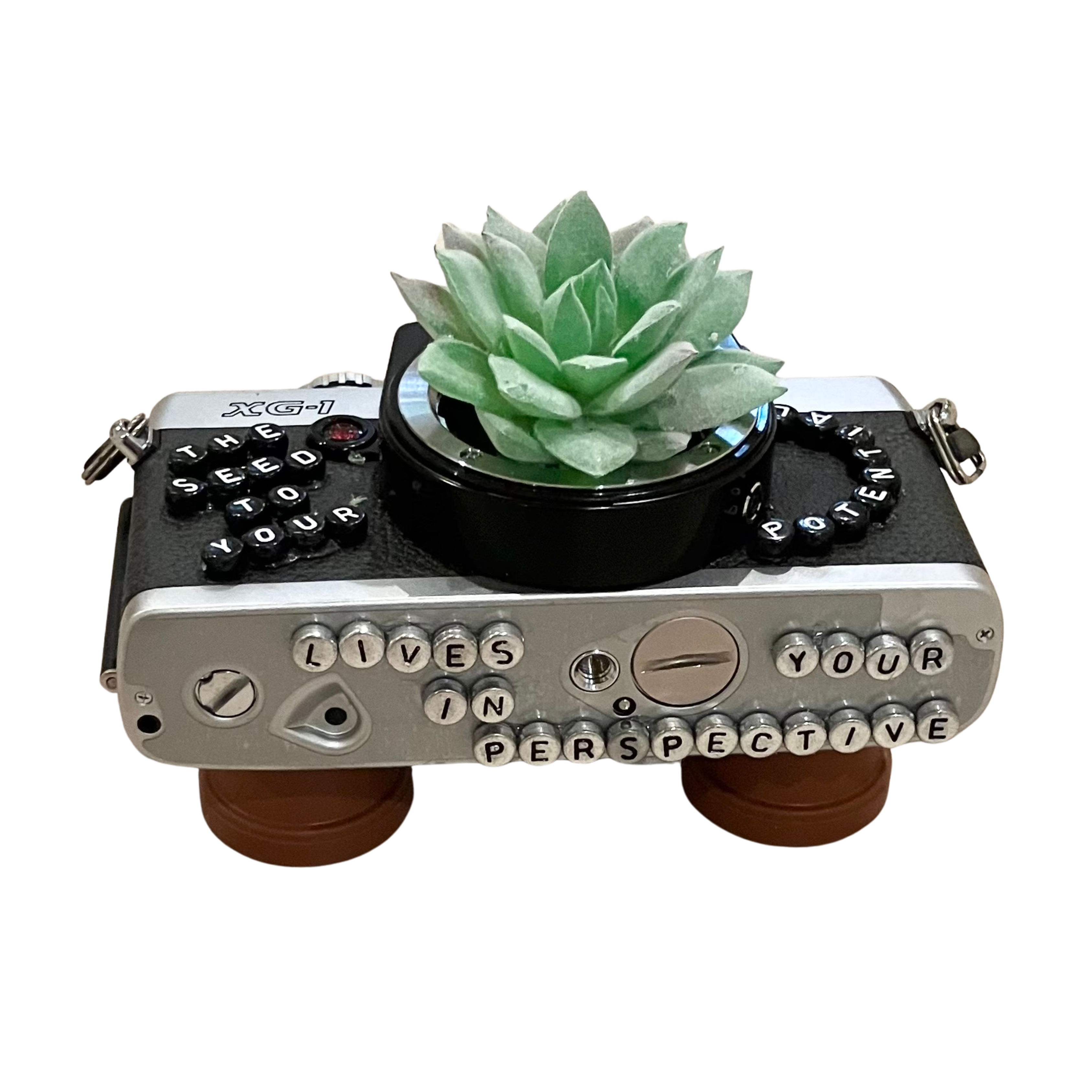 Art - Planters Camera Collection