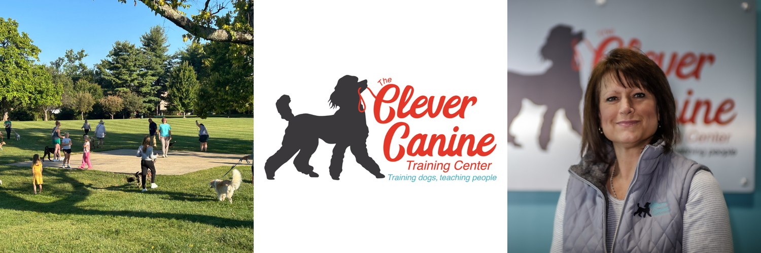 Meet The Clever Canine Training Center, Where Better Dogs Start With Better Connection