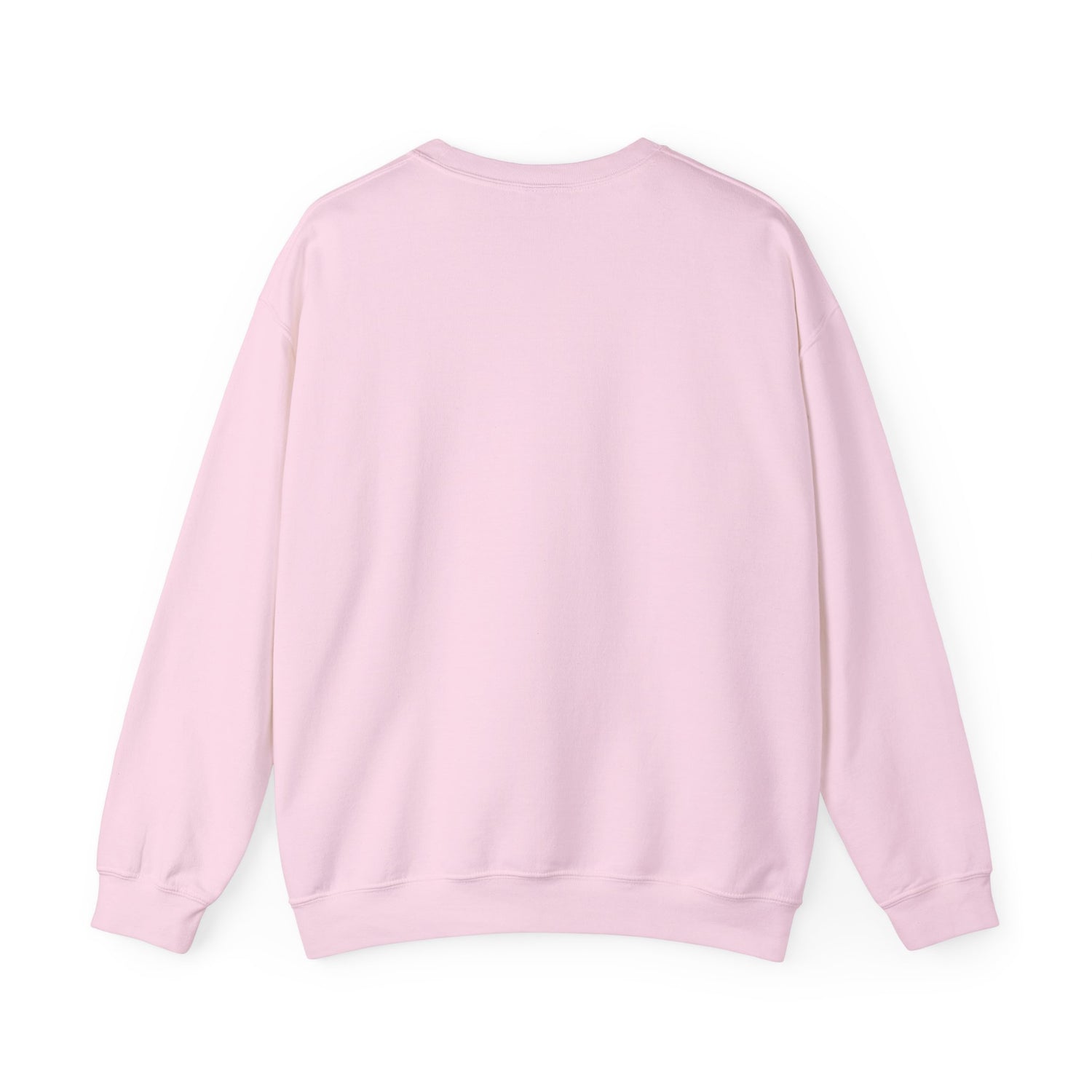 Sweatshirt - Equal Say Equal Pay