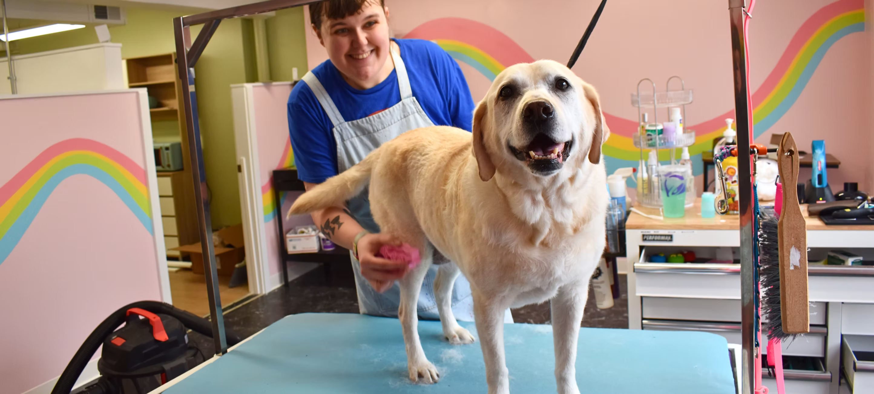 Dog on a grooming table with a person behind it in a pet grooming salon.