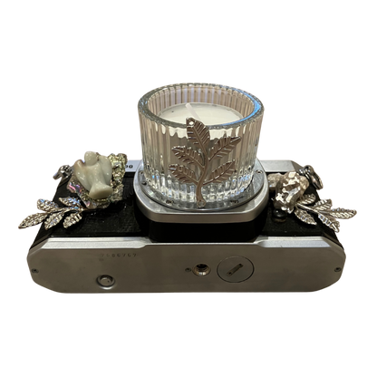 Art - Crystal Camera Collection