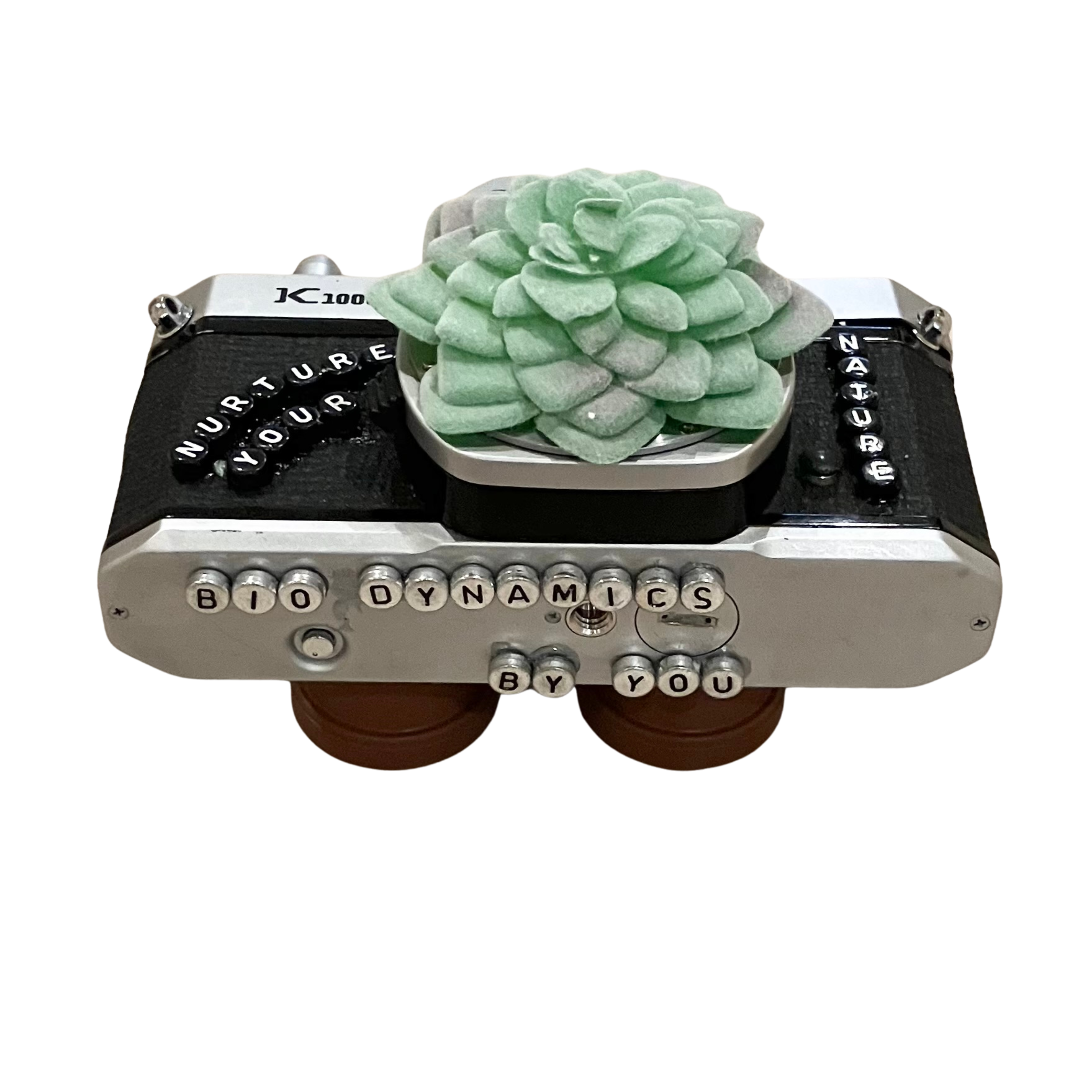 Art - Planters Camera Collection