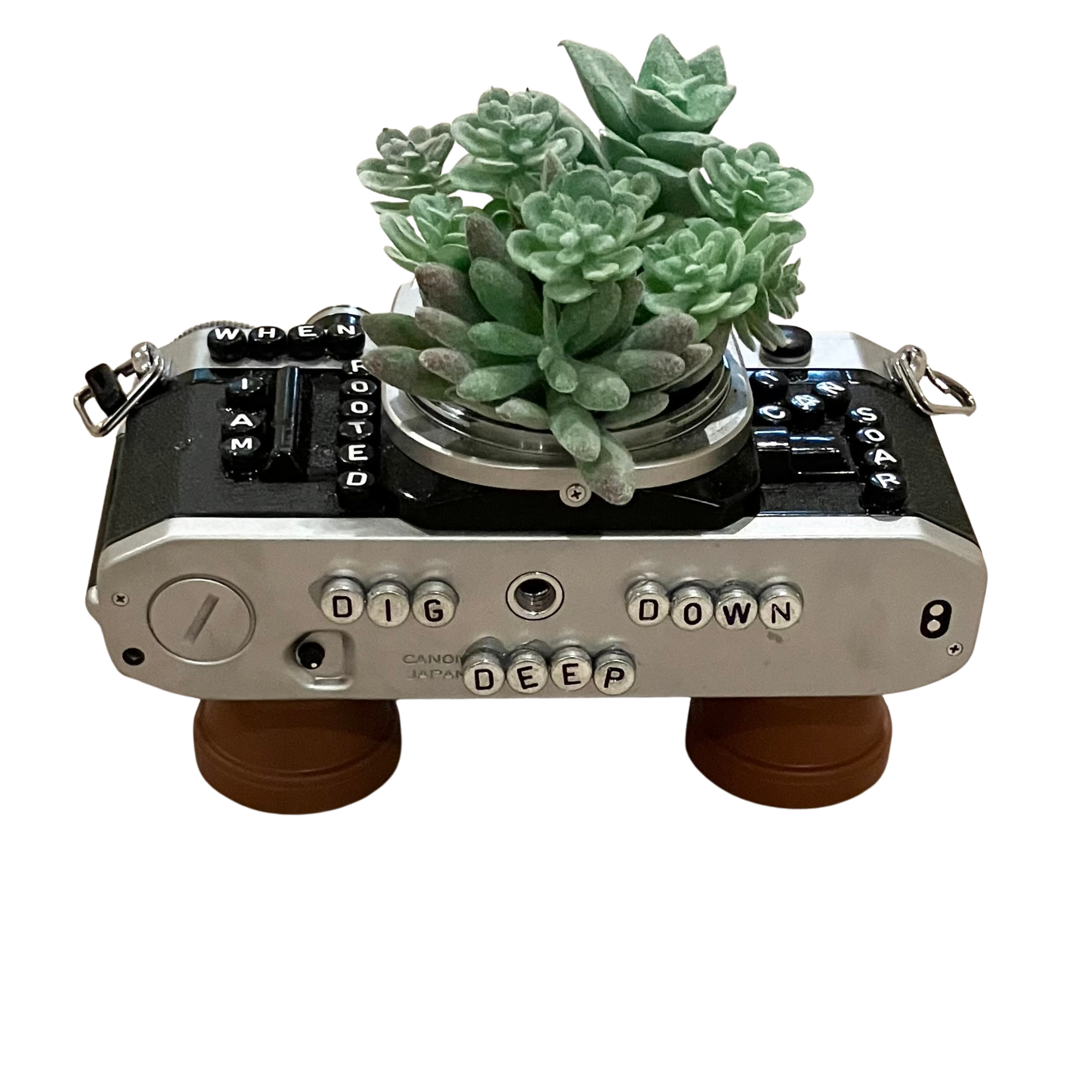 Art - Planters Camera Collection