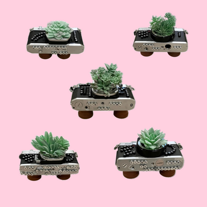 Art - Planters Camera Collection