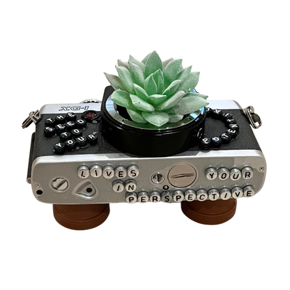 Art - Planters Camera Collection