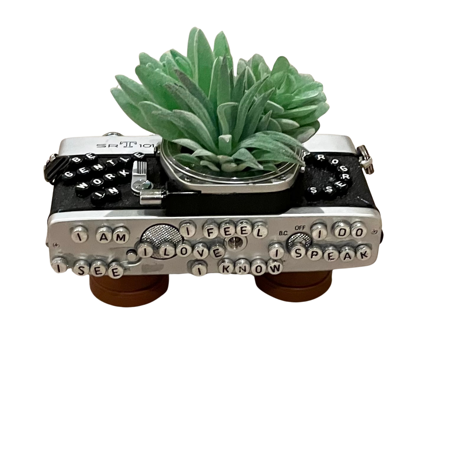 Art - Planters Camera Collection