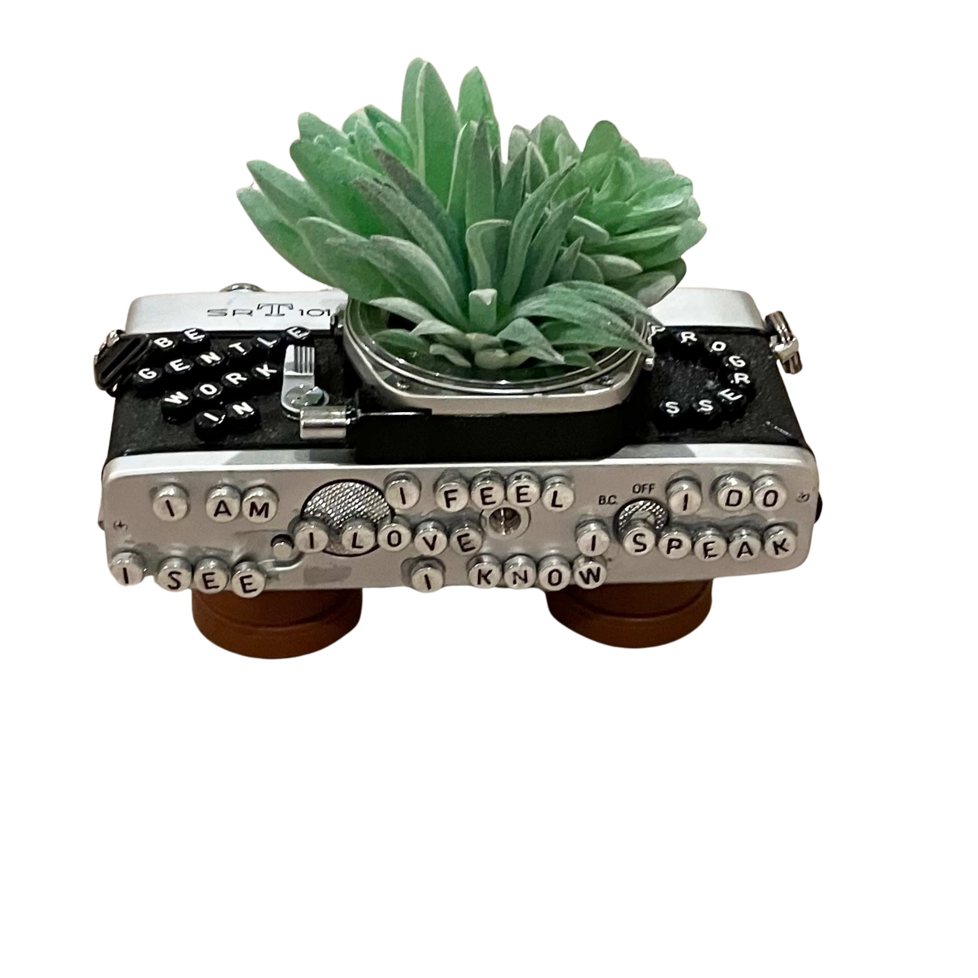 Art - Planters Camera Collection