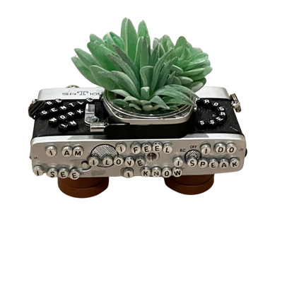 Art - Planters Camera Collection